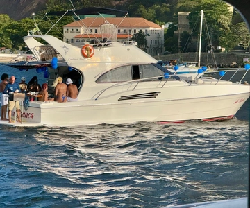 Private Speedboat Tour of Guanabara Bay - Rio de Janeiro