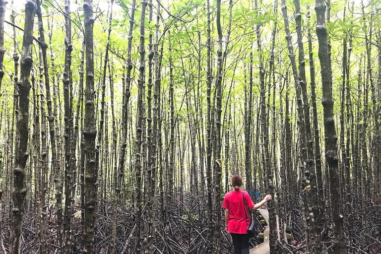 Ho Chi Minh: Explore the mangrove Can Gio forest full day