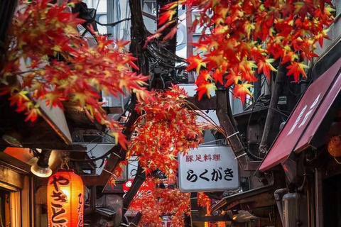 Sapporo: Private Customizable 10-Hour Car Tour