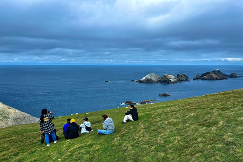 De Edimburgo: 6 dias de exploração de Shetland e NothernmostShetland Explorer de 6 dias -- Quarto duplo/duplo