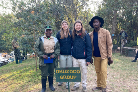 Kigali/Entebbe: 3-Day Bwindi Gorilla Trekking Tour