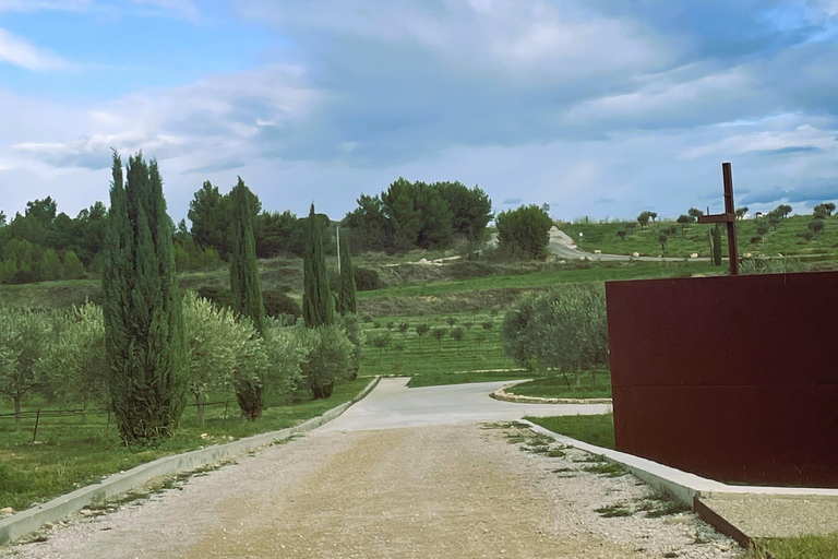 Montpellier:Journée Huile d&#039;Olive, Vin, St Guilhem le Désert