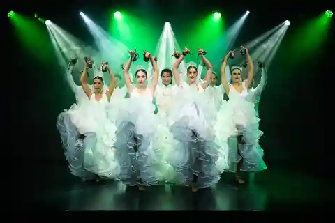 Teneriffa: Ticket für die Olé Flamenco Show von Fran Chafino