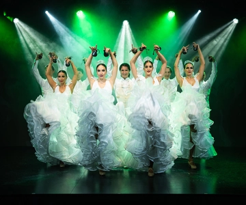 Tenerife : Olé Flamenco Show by Fran Chafino Ticket