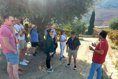 Douro Valley: Private Wine Tour with Lunch