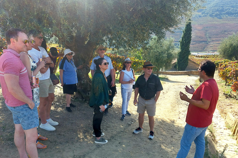 Douro Valley: Private Wine Tour with Lunch