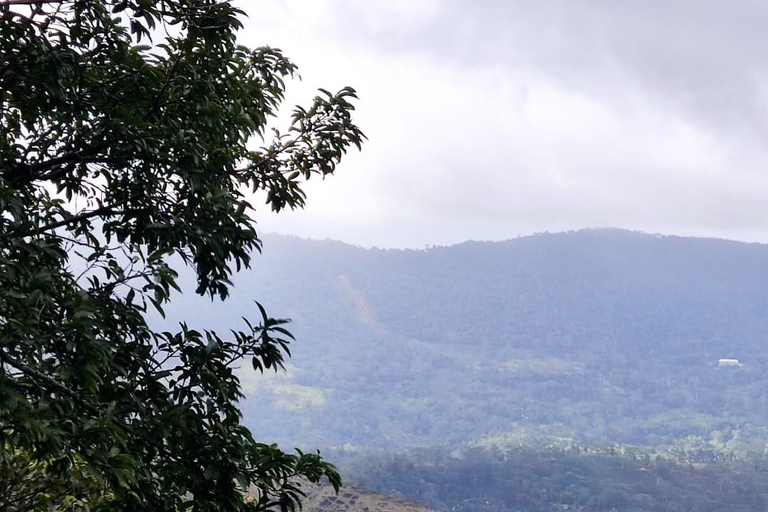 Sinharaja Rainforest Bird watching walking Tour