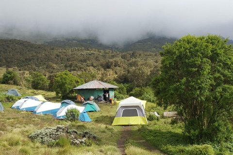 10-Day Simien Trek: Ras Dashen to the Lowlands
