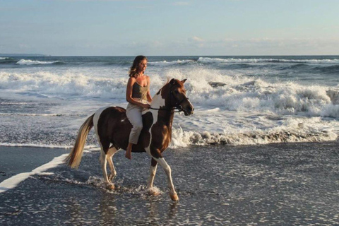 Bali: Saba Beach Horse Riding and Wine Tasting Tour Horse Riding 60 Minute meet in Our location