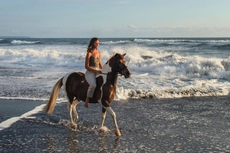 Bali: Saba Beach Horse Riding and Wine Tasting Tour Horse Riding 60 Minute meet in Our location