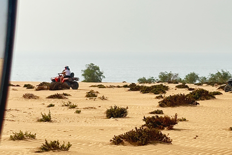 Agadir: Quad Bike Desert & beach tour with Sandboarding Single quad ride (1person per quad)
