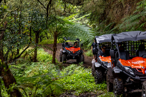 Madeira: AVENTURA DE BUGGY OFF-ROAD NAS FUNDURAS