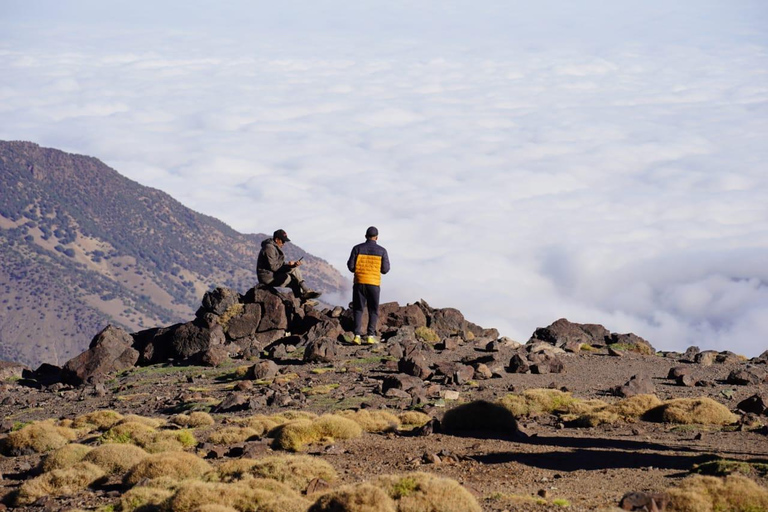 Z Marrakeszu: Atlas Mountains Summit Trek