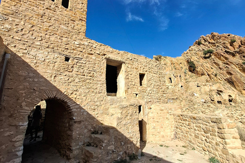 From Tunis: Berber Heritage & Organic Olive Oil Tasting Tour Tunis-Hammamet: Organic Olive Oil Mill Tour & Tasting