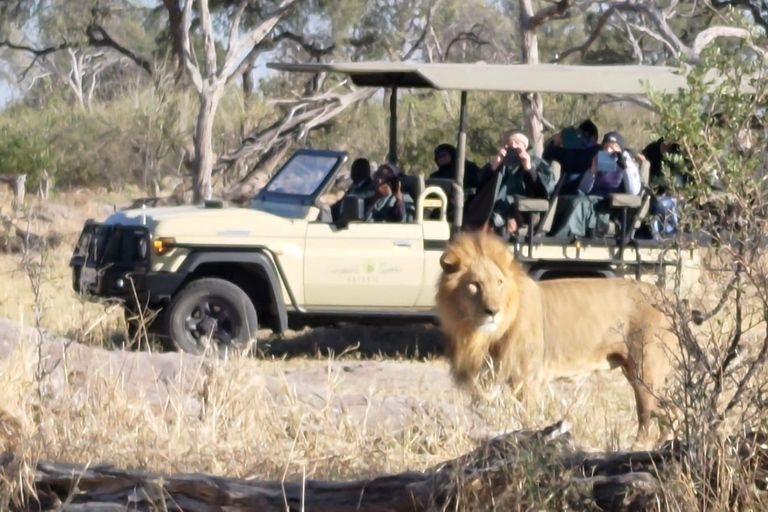2-Day Zimbabwe, Zambia & Botswana Explorer