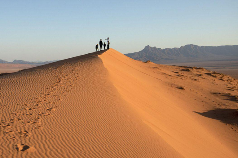 From Windhoek: 6-Day Namibia Safari with Lodging & Meals