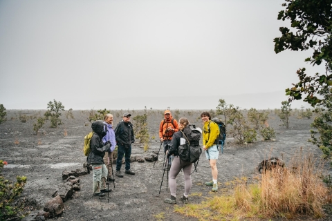 Big Island: grupo del parque nacional de los volcanes o caminata privadaTour privado