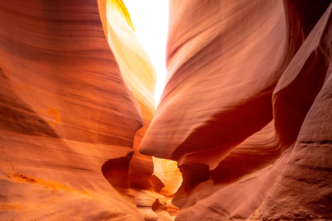 From Sedona: Antelope Canyon and Horseshoe Bend Tour