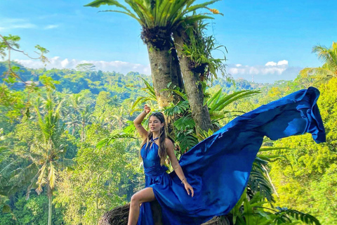 Bali: Swing, Koi Photo Boat, Monkey Forest, & Waterfall Private tour with ticket include