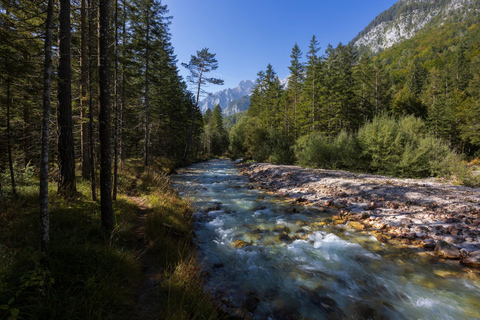 Bled: Triglav National Park E-Bike Tour