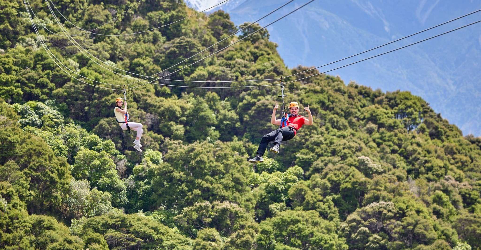 Kaikōura, Zipline and Native Forest Adventure Trip - Housity