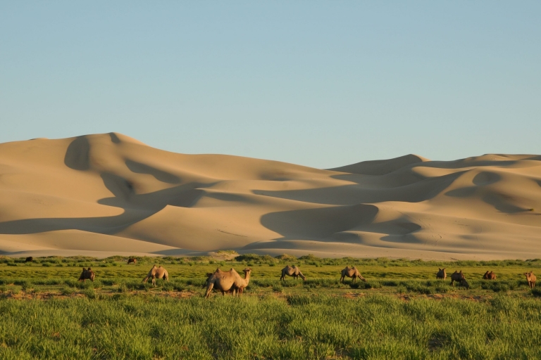Gobi: Große Wüstentour