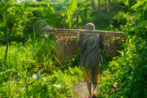 Sidemen Trekking : Une marche dans une perspective différente