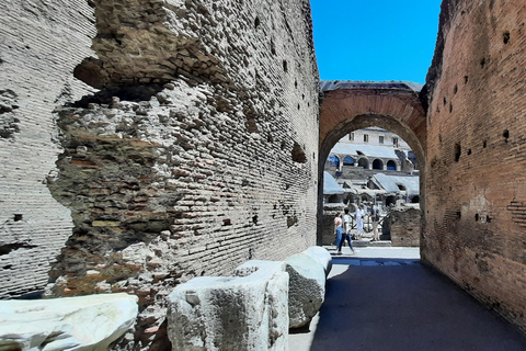 Rome: Colosseum Underground Small Group Guided Tour (8 pax)