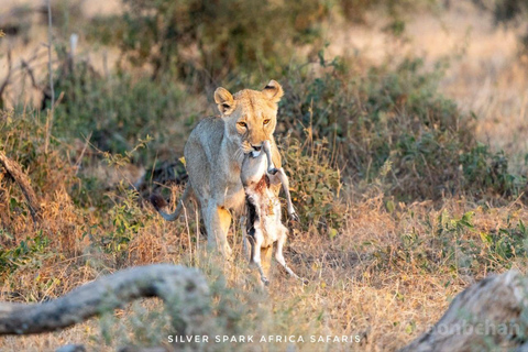 Von Nairobi aus: 3-tägige kenianische Safari im Nakuru Mara National ParkVon Nairobi: 3-tägige Nakuru Mara Nationalpark Kenia Safari