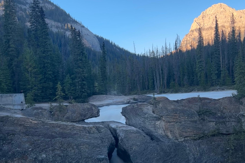 Banff/Calgary: Tour privado de los Parques Nacionales de Banff y YohoDesde Calgary