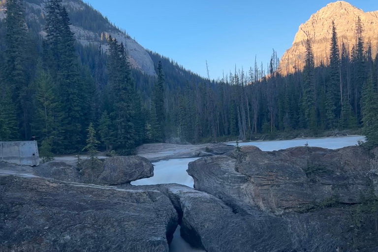 Banff/Calgary: Privat tur i nationalparkerna Banff och YohoFrån Calgary