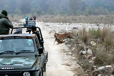 Depuis Delhi : voyage de plusieurs jours dans le Triangle d'Or avec safari tigresVisite du Triangle d'or de 7 jours sans hôtel