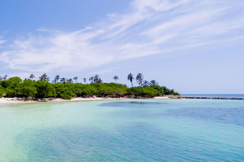 Múcura Island: Sea, Mangroves, and Bioluminescence