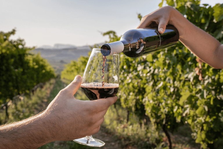 La Londe-les-Maures: Half-Day Wineries Tour with Tastings