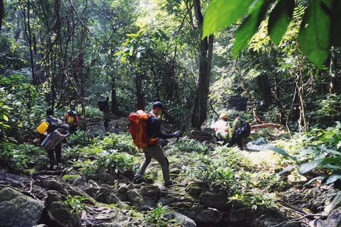 Parque Nacional de Cuc Phuong: Trekking y Campamento en la Selva 2 días