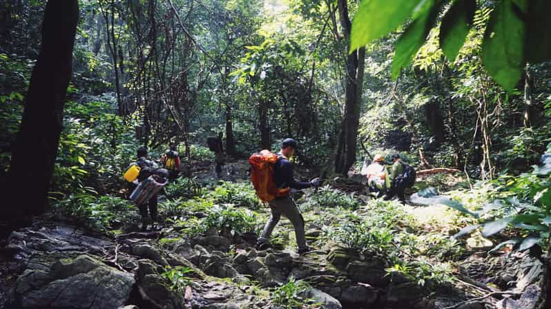 Trekking På Opdagelse I Den Gådefulde Cuc Phuong Nationalpark