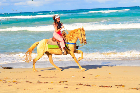 Aventura a cavalo na praia e na floresta de Macau