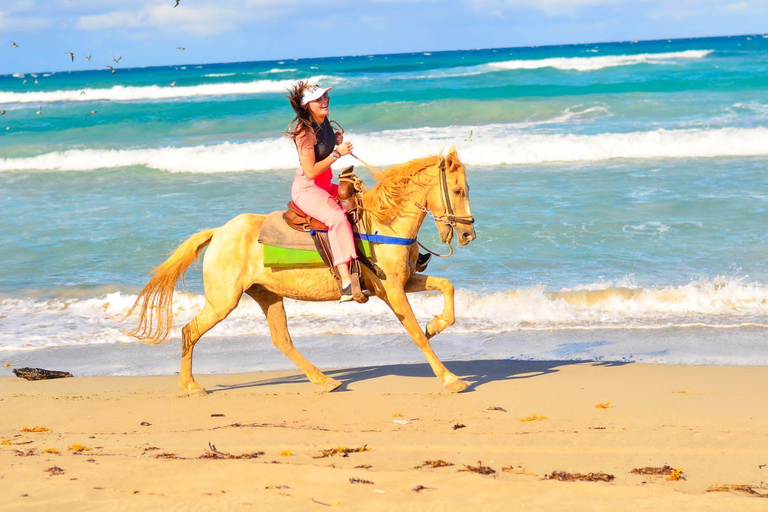 Aventure équestre sur la plage et dans la forêt de Macao