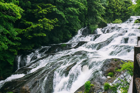 Nikko: 11 Hours' Tour with Licensed English Guide & Car Luxury Extra Spacious Hiace for upto 12 Persons