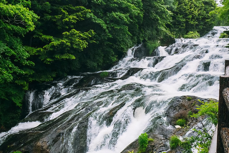 Nikko: 11 Hours' Tour with Licensed English Guide & Car Luxury Extra Spacious Hiace for upto 12 Persons