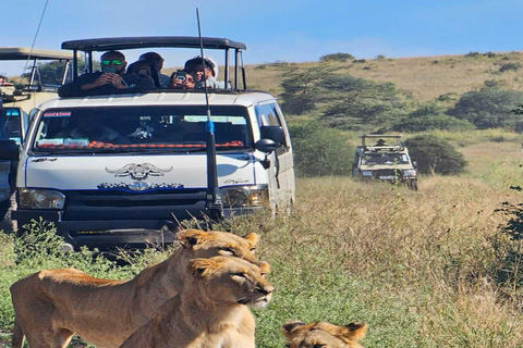 Passeio guiado de meio dia pelo Parque Nacional de NairóbiUnidade de jogo compartilhada