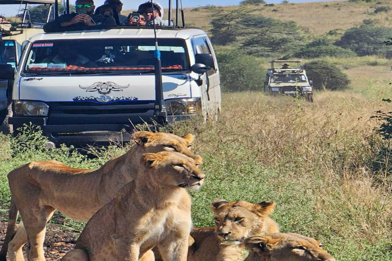 Passeio guiado de meio dia pelo Parque Nacional de NairóbiUnidade de jogo compartilhada