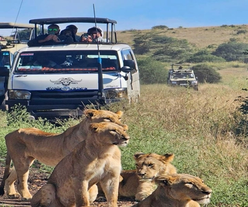 Nairobi: Nairobi National Park 5-hour Guided Game Drive