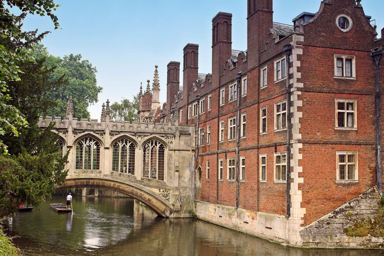 Il meglio di Cambridge: Tour privato a piedi con un abitante del luogoTour privato della città a piedi - 3 ore