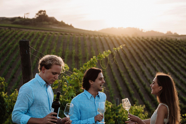 Abbey Tour, Wine Tasting and Light Lunch near Pisa English