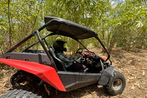 Bamboo Dune Buggy Tour