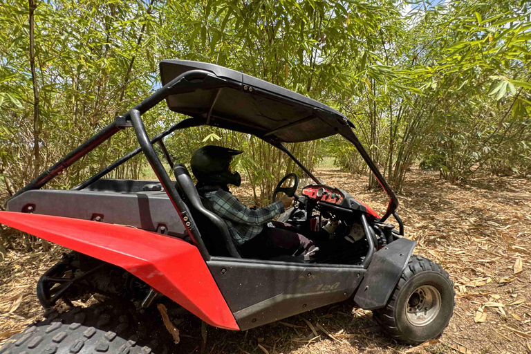 Bamboo Dune Buggy Tour