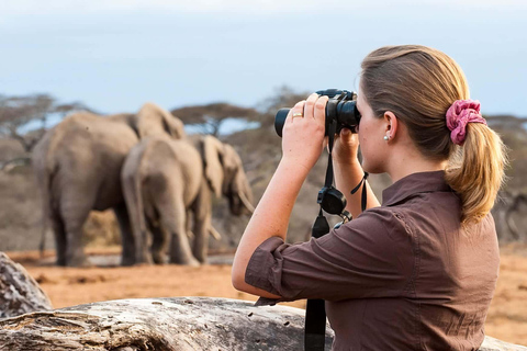 Arusha: 5-Day Serengeti and Ngorongoro Crater Safari