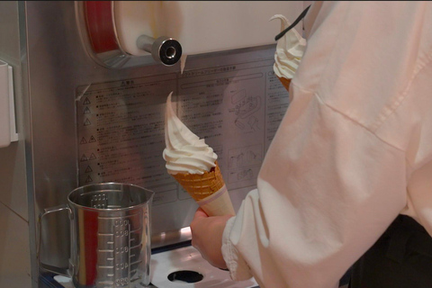 Sapporo Seafood Brunch Tour: Taste Fresh Hokkaido