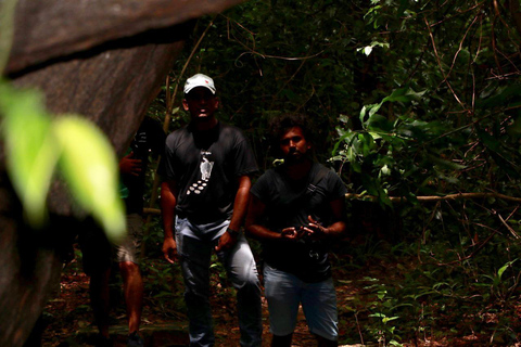 From Negombo: Maligathenna & Pilikuttuwa Temple Hike